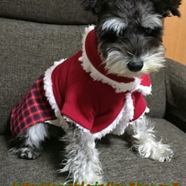 レンかのさんの作品