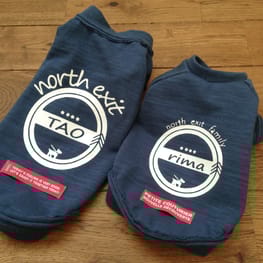 バックオープンベスト