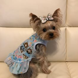 ベーシックタンクトップ&Tシャツ