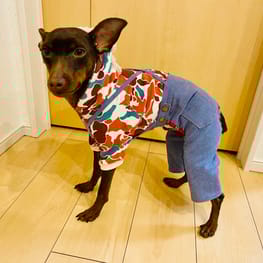 ラグランタンク・ラグランワンピ