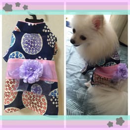 ドッグスリング