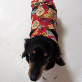 ベーシックタンクトップ&Tシャツ