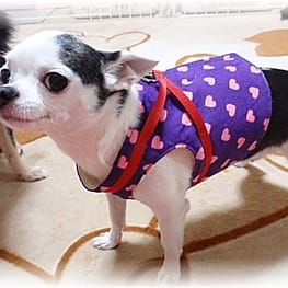 Heartilyさんの作品