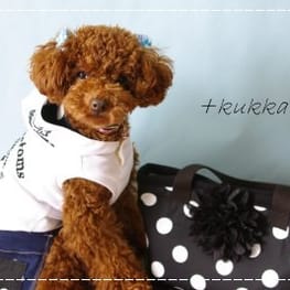 ショールカラーカーディガン