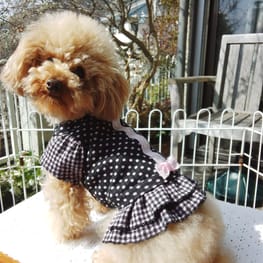 リボンワンピース