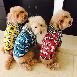 パーカー/トレーナー