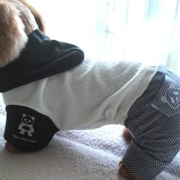 ラガーシャツ・ポロシャツ