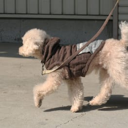 かもみいるさんの作品