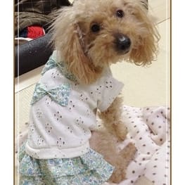 パーカー/トレーナー