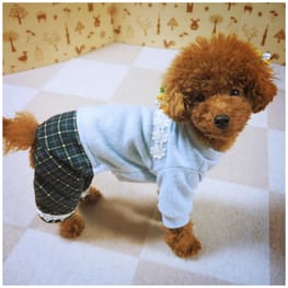 バルーンブラウス