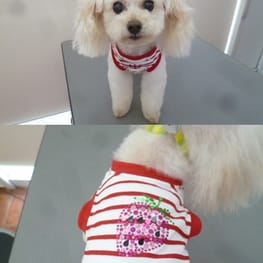 カバーオール(つなぎ)