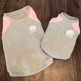 ベーシックラグランTシャツ