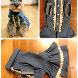 ダウンジャケット