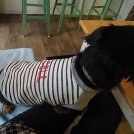 ライさんの作品