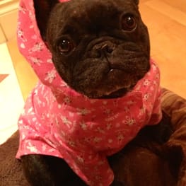 うさぎ/パンダ変身コスチューム