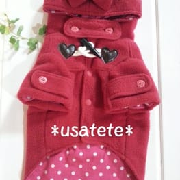 パーカー/トレーナー