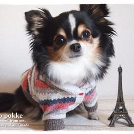 スモック/チュニック