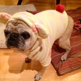 Peasnatchさんの作品