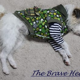 ダウンジャケット