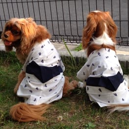 カバーオール(つなぎ)