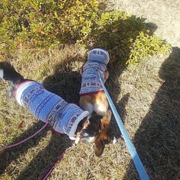 みんなのTシャツ