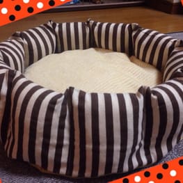 ハーネスウェア