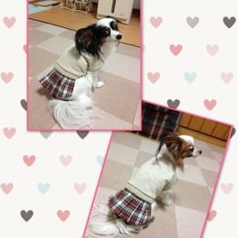 ミントママさんの作品