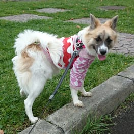 パンツ/サロペット