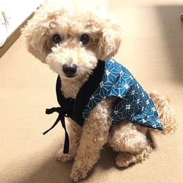 sun♪さんの作品