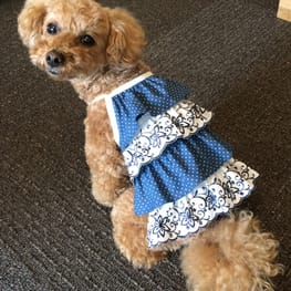 パーカー/トレーナー