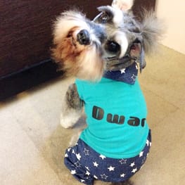 リボンワンピース