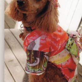 ラグランタンク・ラグランワンピ