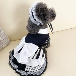 オーバーレインコート