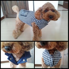 サニタリー・マナーパンツ