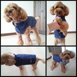 サニタリー・マナーパンツ