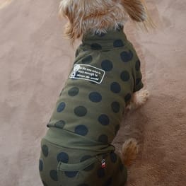 ラガーシャツ・ポロシャツ