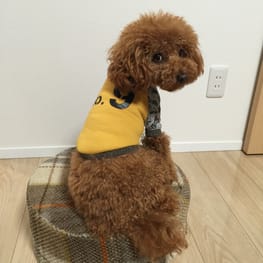 ダウンジャケット