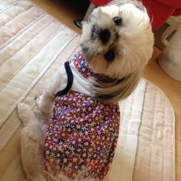 ラッフルワンピース