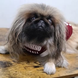 ラウンドベッド