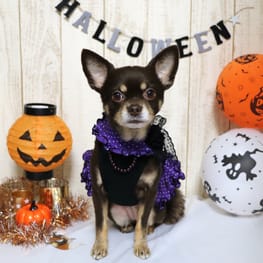 スカート/サロペット