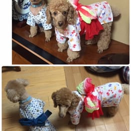 ダウンジャケット