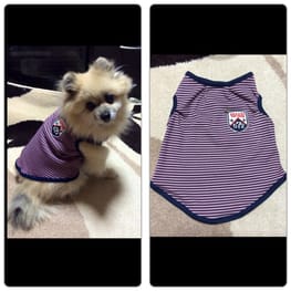 ドッグスリング