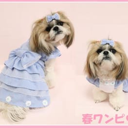 リラックスジャンプスーツ