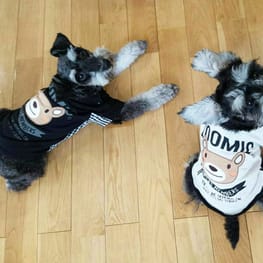 ダウンジャケット