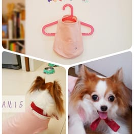 ダウンジャケット