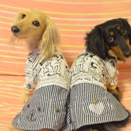 パーカー/トレーナー