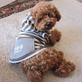 カバーオール(つなぎ)