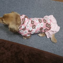 レーサーバック・バッククロスタンク