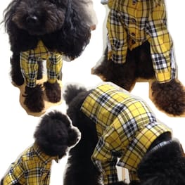 サニタリー・マナーパンツ