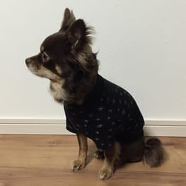 ラッフルスリーブトップス